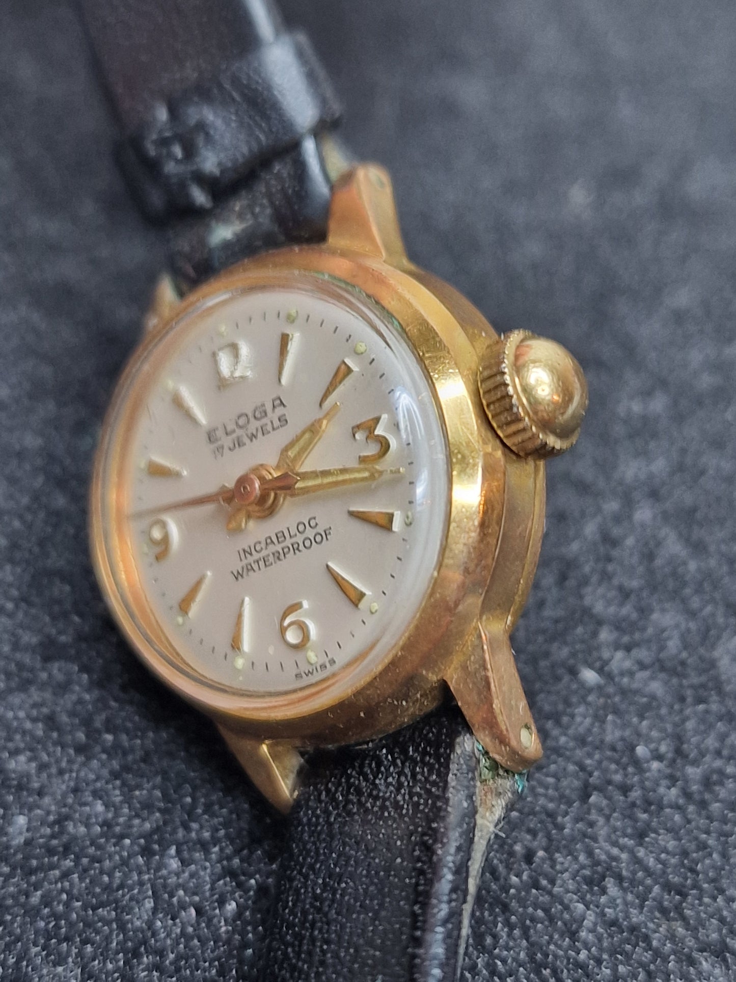 ⌚ Vintage ELOGA Watch – 17 Jewels | Incabloc | Waterproof | Swiss Made | 19mm
