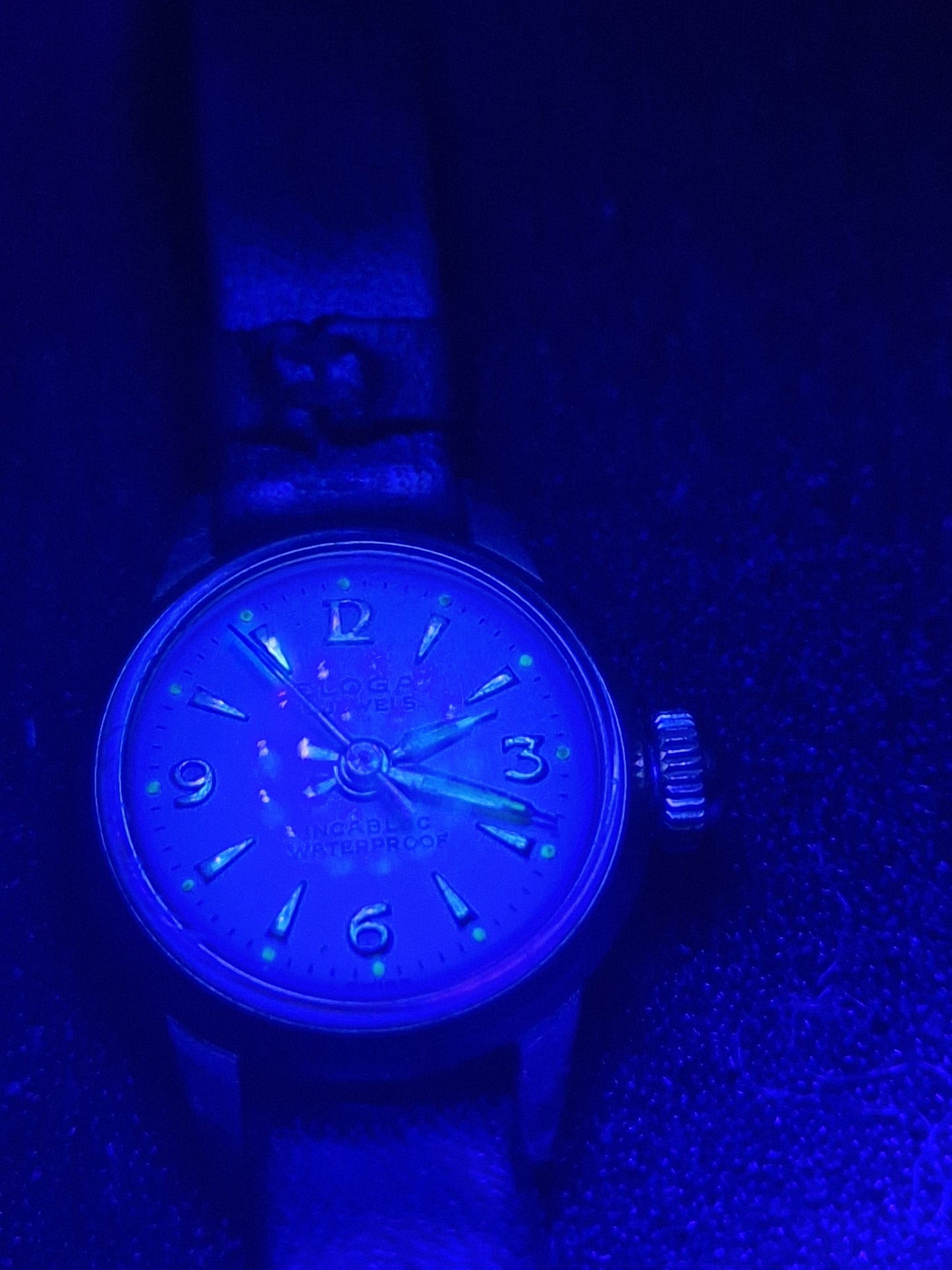 ⌚ Vintage ELOGA Watch – 17 Jewels | Incabloc | Waterproof | Swiss Made | 19mm
