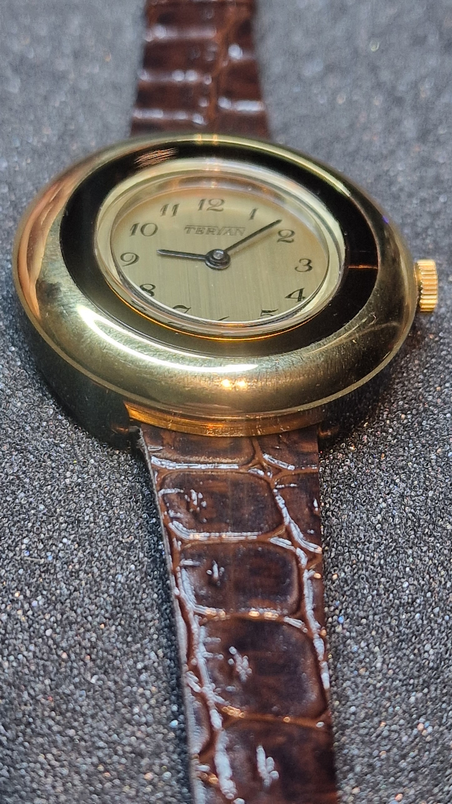 TERIAN – Swiss Made – NOS – ILONA LTD Acrylic Case – 1970s/80s – Mechanical