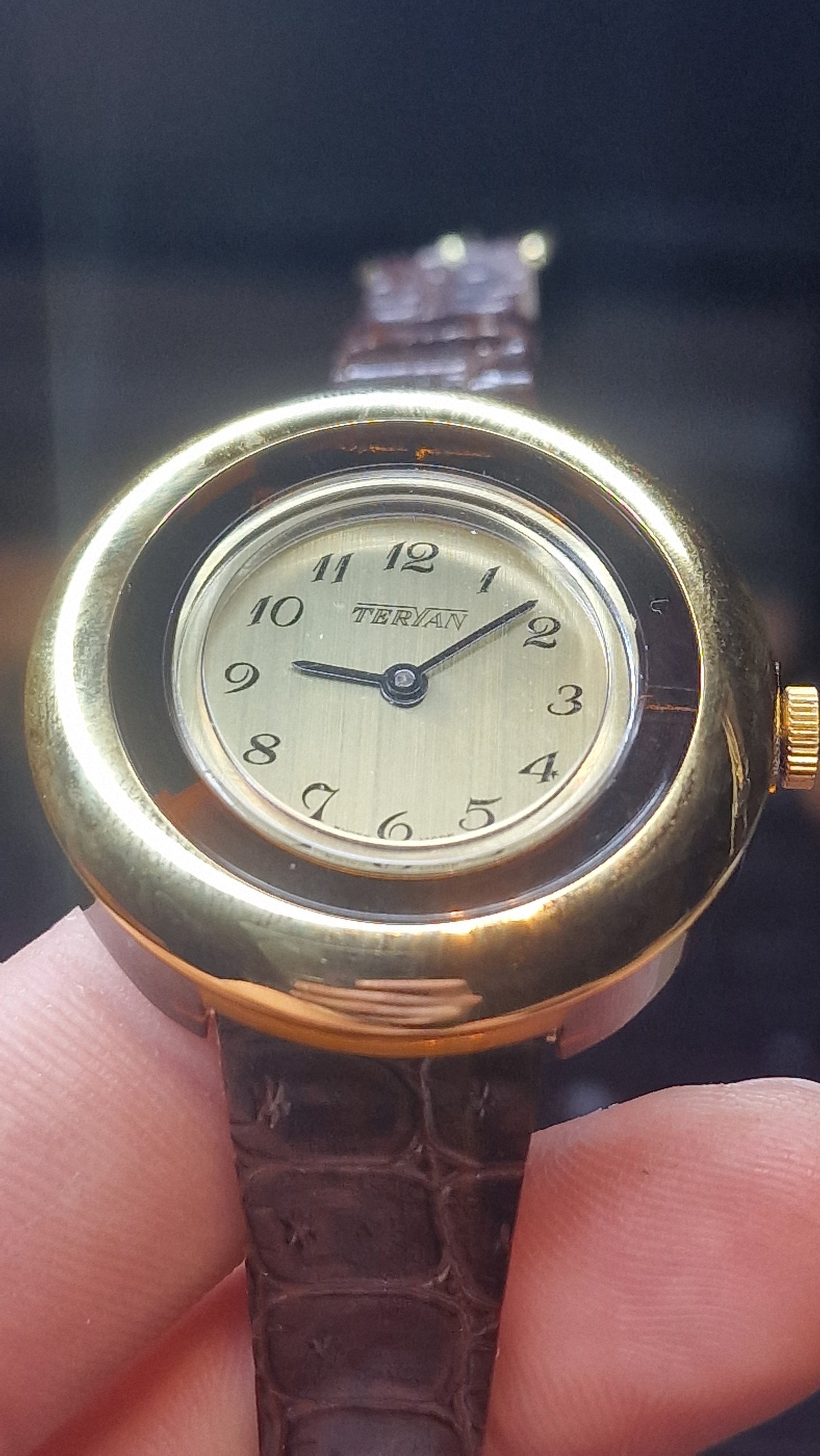 TERIAN – Swiss Made – NOS – ILONA LTD Acrylic Case – 1970s/80s – Mechanical