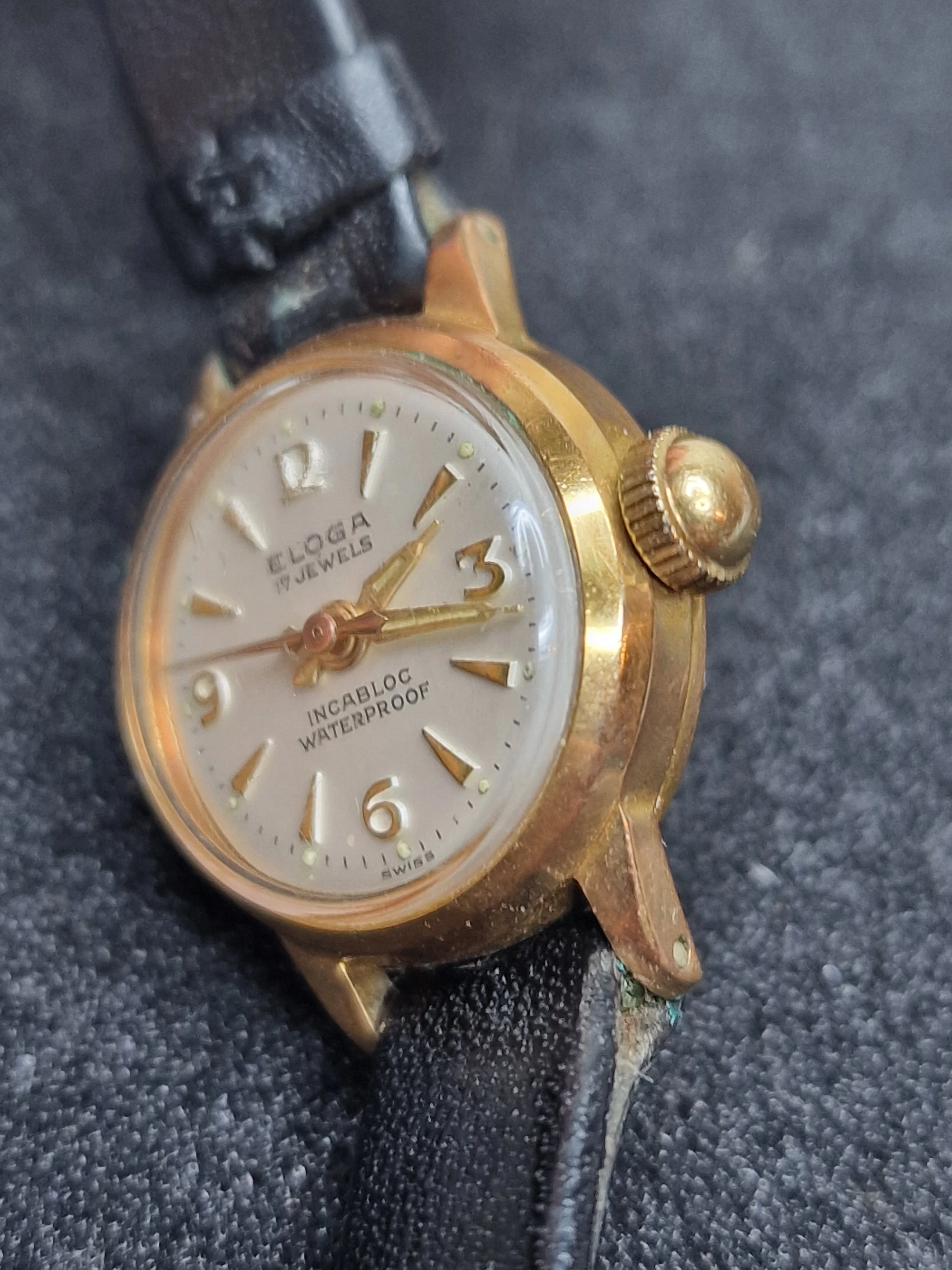Vintage ELOGA Watch – 17 Jewels – Incabloc – Waterproof – Swiss Made – 19mm 8